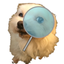 RecognizeMe Web icon