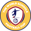 WSG Football Cup icon