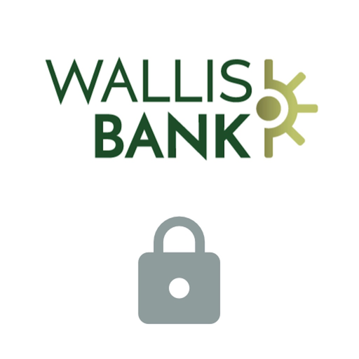 Wallis 360 Verify app icon