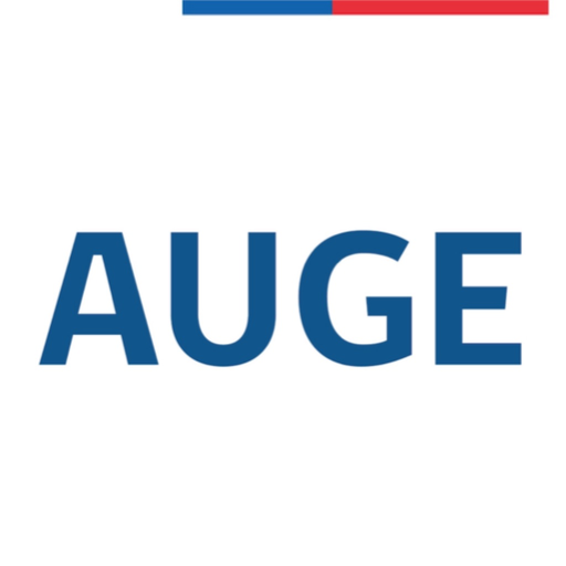 AUGE - GES app icon
