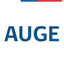 AUGE - GES icon