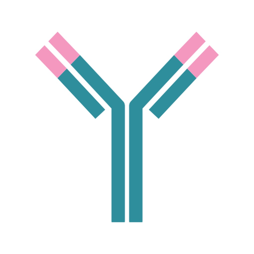 ČSAKI app icon