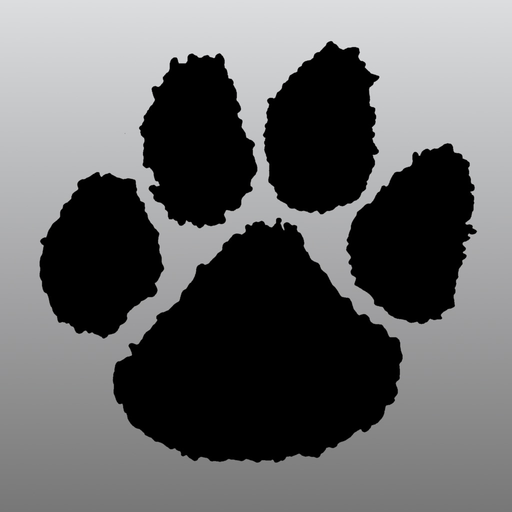 American Heritage app icon