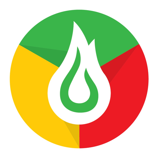 Timpex ECO app icon