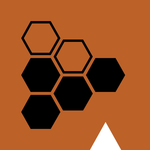 HEINE DERM app icon