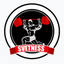 Svetness icon