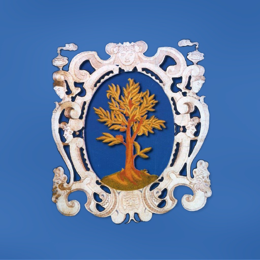 MyCastenedolo app icon