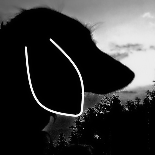 N.S.A. app icon
