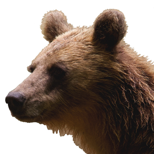 Reggy Bear app icon