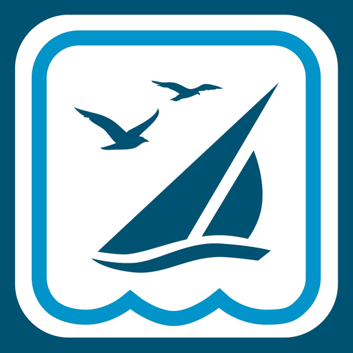 TSBG Card Control app icon