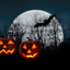 Halloween Haunted House for TV icon