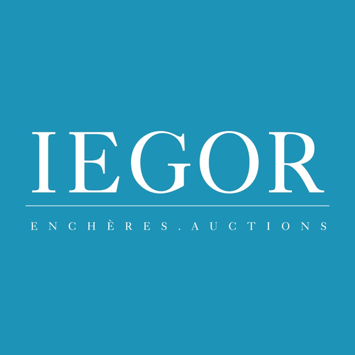 IEGOR app icon