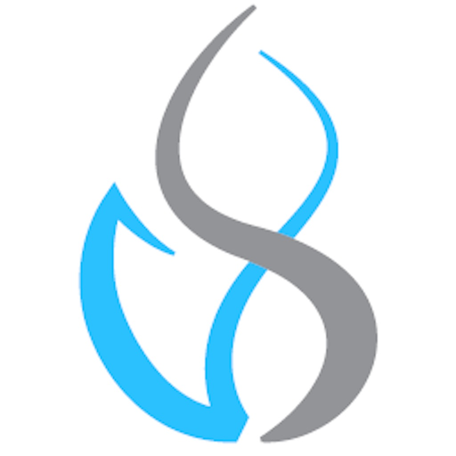 VietSearch app icon