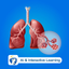 Respiratory Sys - EduTech Era icon