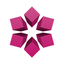 Phone2Go icon