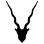 Foam Hunter icon