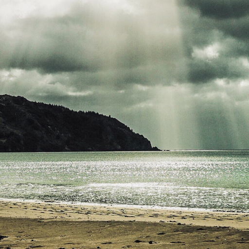 Te Ara a Tāwhaki app icon