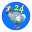 DoDo 24 icon