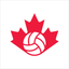 Smashball icon
