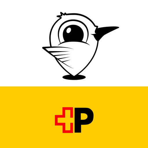PubliCar app icon