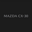 Experiencia Mazda CX-30 icon