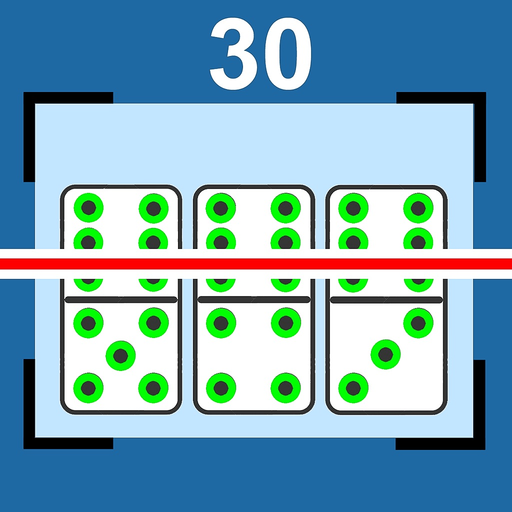 Domino Scan app icon