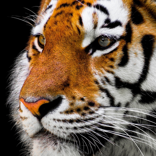 Animal Sounds for Kids Lite! app icon