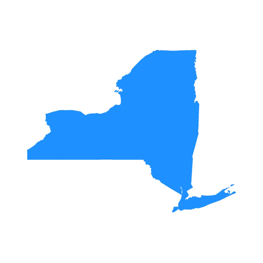 New York Criminal Law app icon