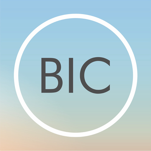DELTA BIC Zone app icon