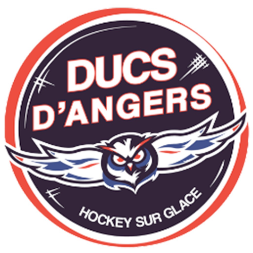 Ducs d'Angers app icon