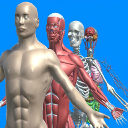 Human anatomy system & parts app icon
