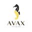 AVAX Fit&SPA icon