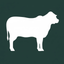 Phi-Check icon