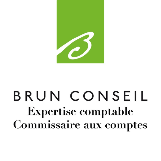Brun Conseil app icon