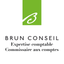 Brun Conseil icon