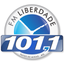 Liberdade 101,1 FM icon