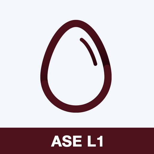 ASE L1 Practice Test Prep app icon