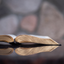 Bible Scripture Typing Daily icon