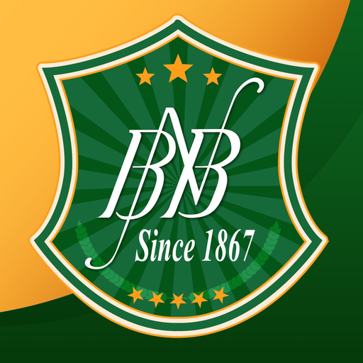 BNB Mobile Business Banking app icon