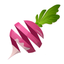 Food Book Recipes icon