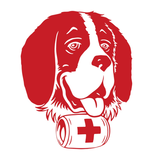 Bernardo app app icon