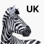 Investec UK icon