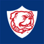 Safe Dog icon