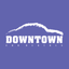 Downtown eChauffeur icon