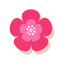 Ovulation App Period Tracker icon