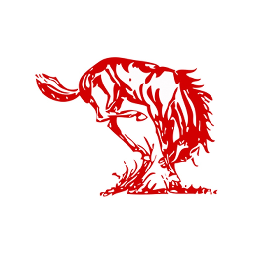 Russell County USD 407 app icon