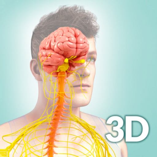 My Nervous System Anatomy app icon