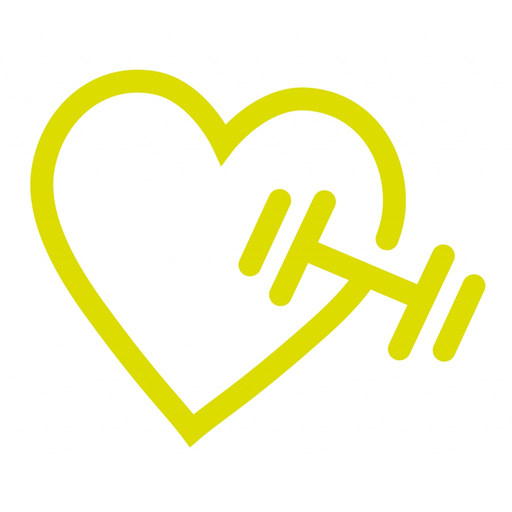 Ludis Dwingeloo app icon