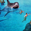 White Shark Attack In Sea icon