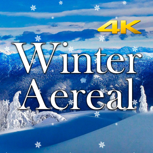 Winter Aereal app icon